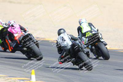 media/Mar-10-2024-SoCal Trackdays (Sun) [[6228d7c590]]/9-Turn 8 Backside (1150am)/